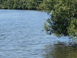 Mainschwimmen Juni 2026